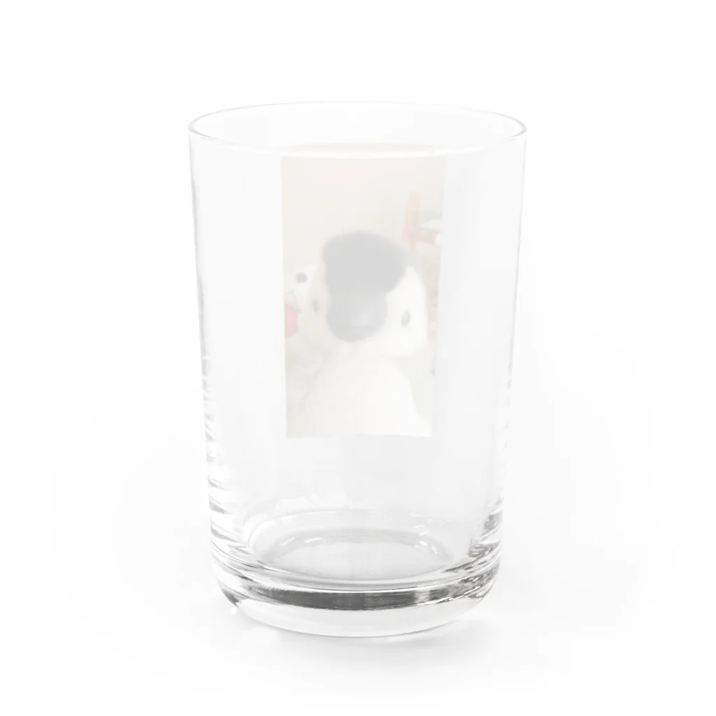 samchamのさむのともだちしもむらさんです。 Water Glass :back