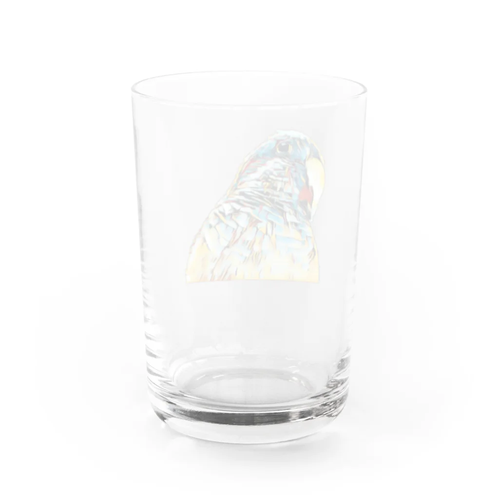 cinnamon salvareのモダンインコ Water Glass :back