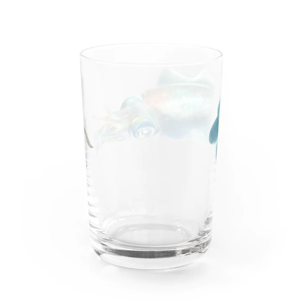 OJIKのアオリイカ Water Glass :back