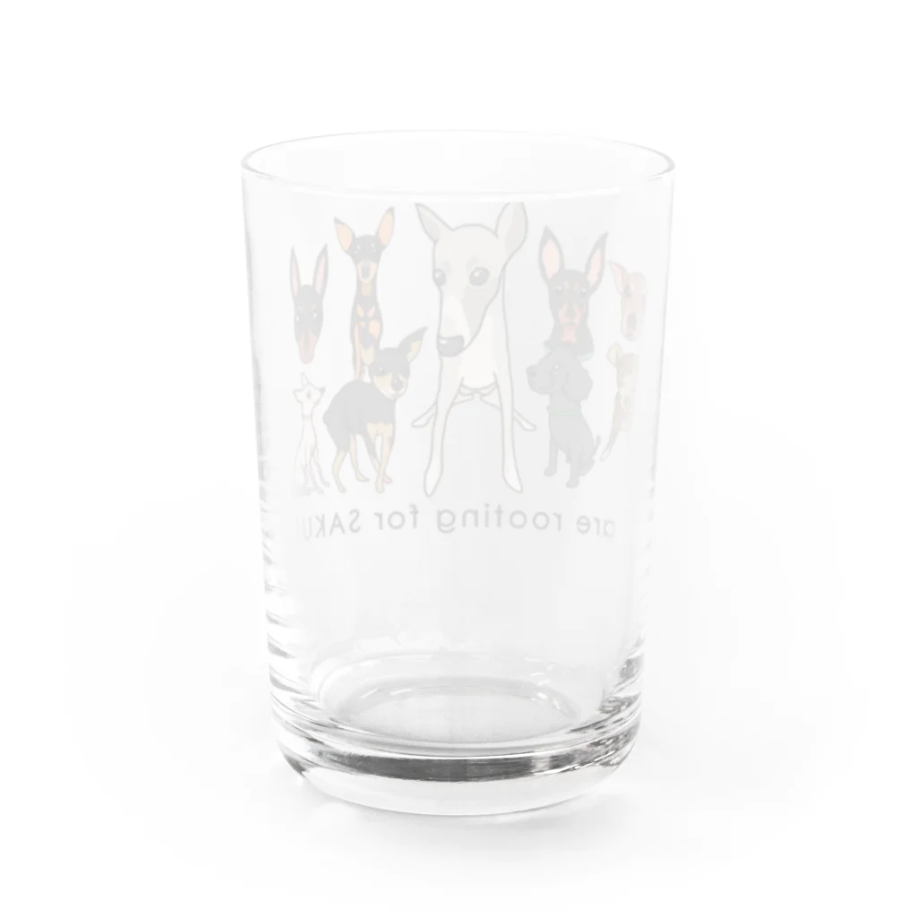 へちまめろんのイタグレ★さくらとその仲間たち Water Glass :back