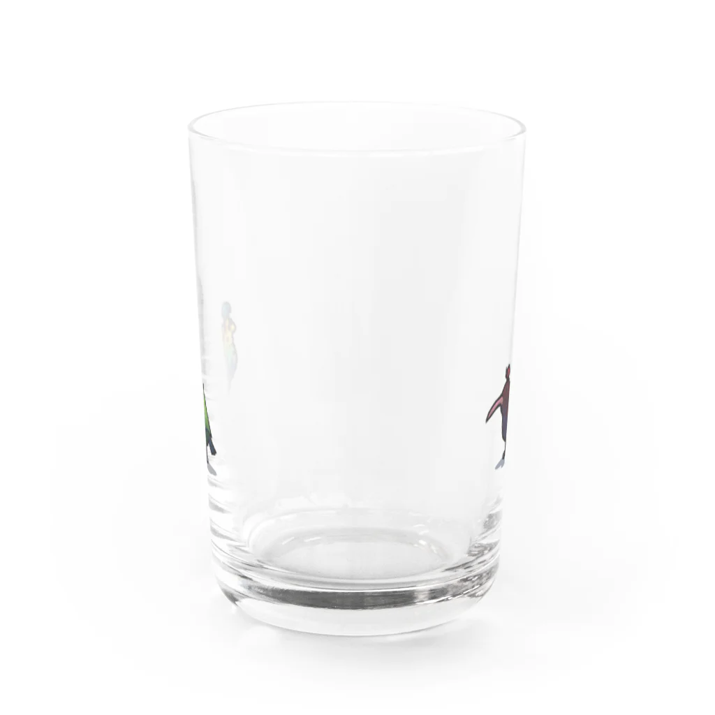 GRADUCAのカカポとキウイ Water Glass :back