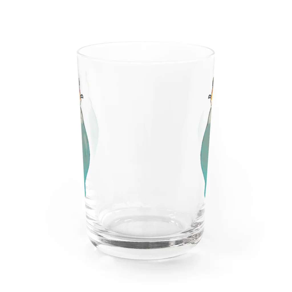 GRADUCAのプカプカアザラシ Water Glass :back