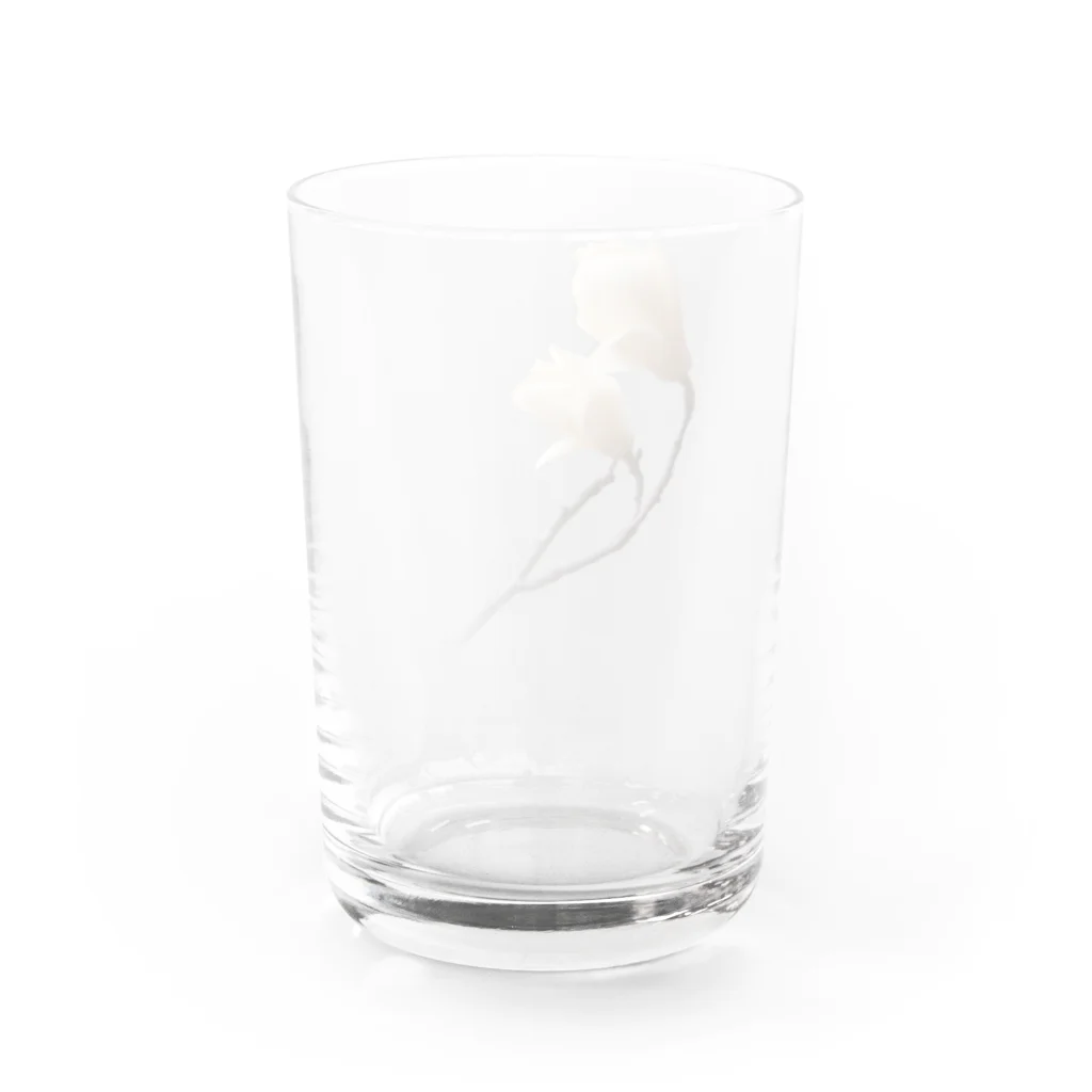 suparnaのマグノリア Water Glass :back