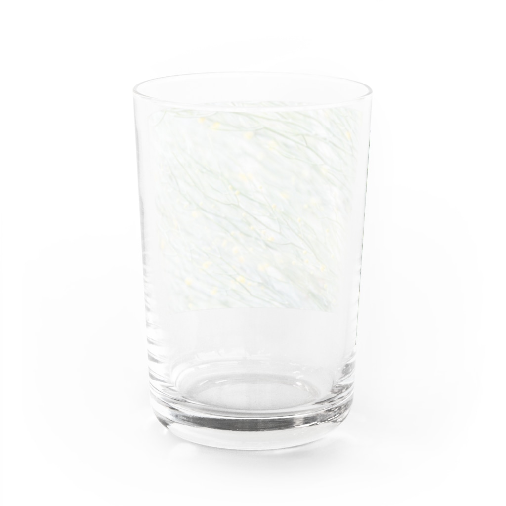 自然光/反射光のbubble Water Glass :back