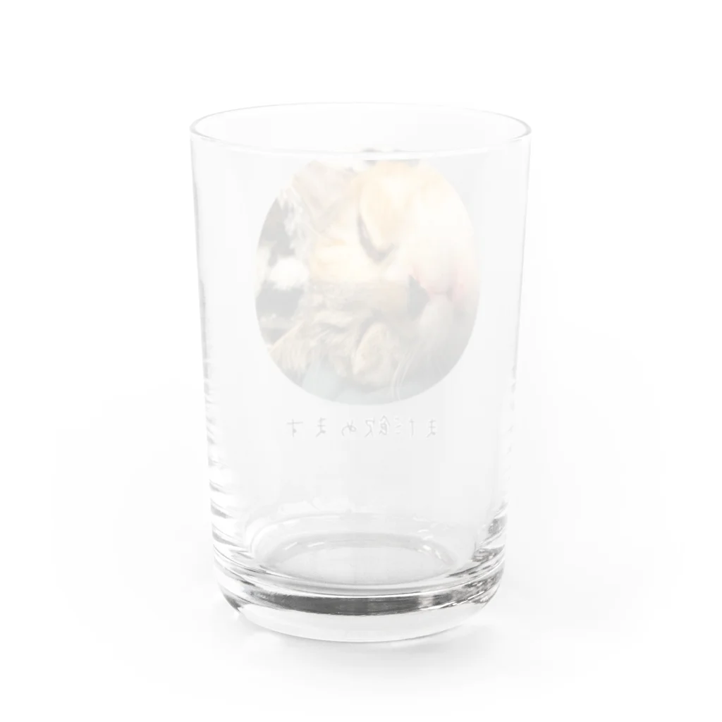 Y.Koyamaの解脱猫 Water Glass :back