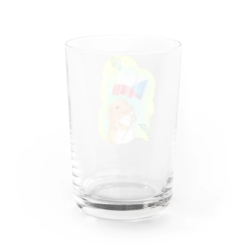 Arikaのチェコ大好き！ Water Glass :back