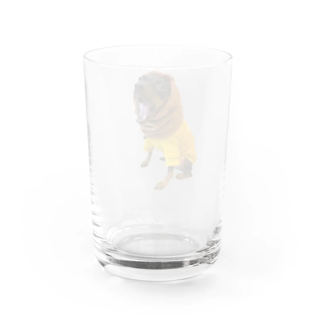 chatty_hahahaのチャのあはは Water Glass :back