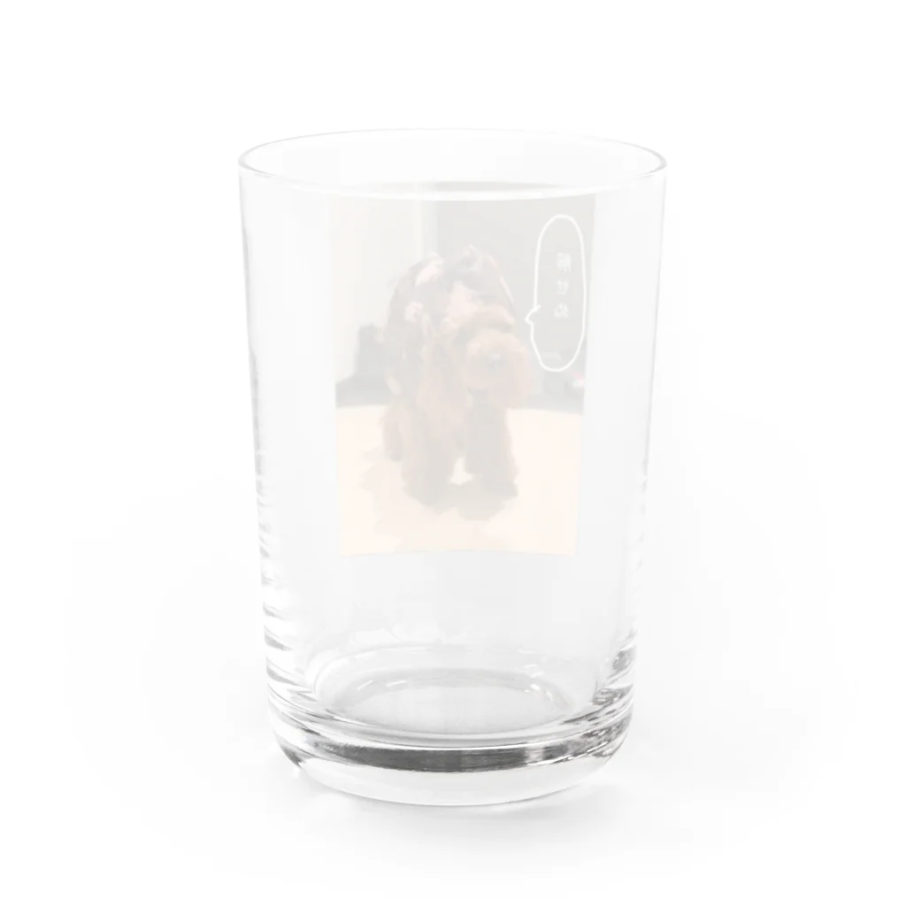 SNKRSの解せぬREVE Water Glass :back