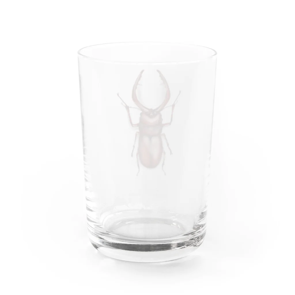 Kanshadoのノコギリクワガタ Water Glass :back