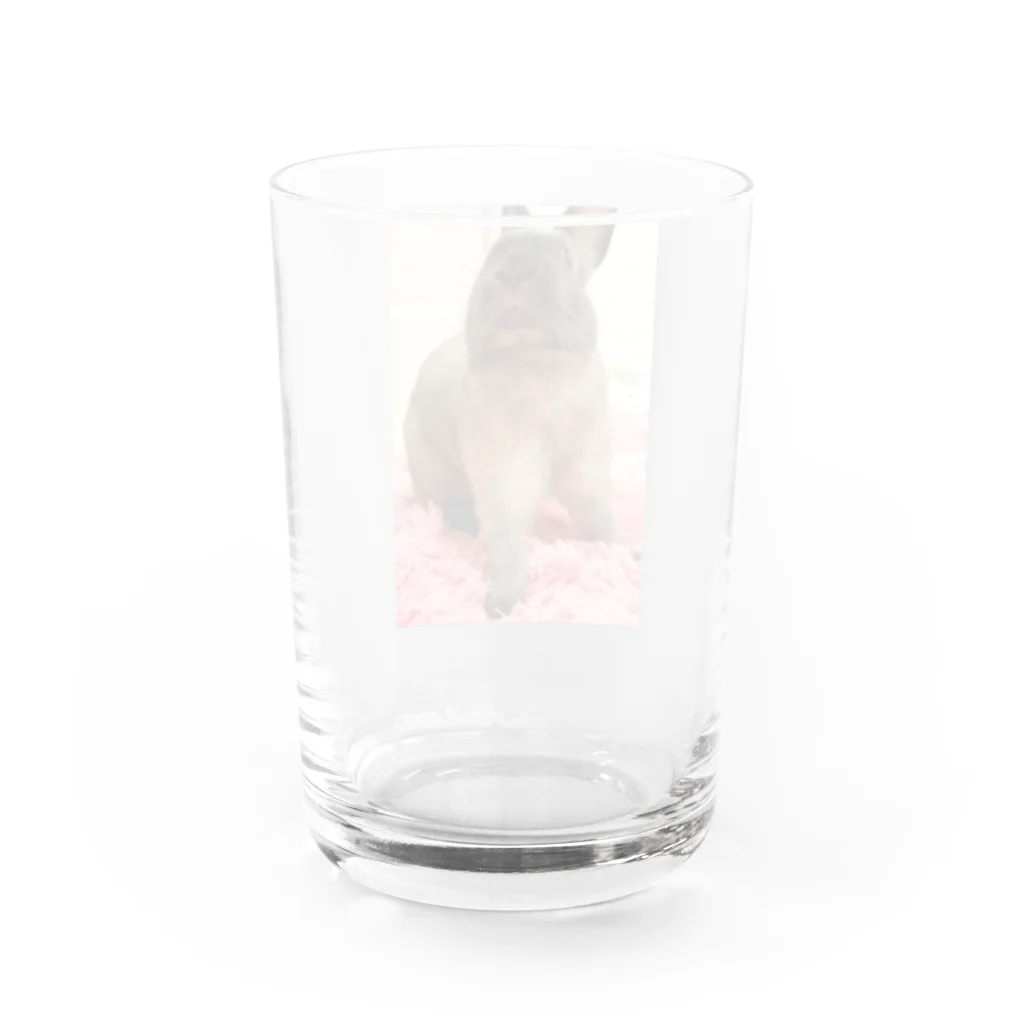 mimichanのみみちゃん Water Glass :back