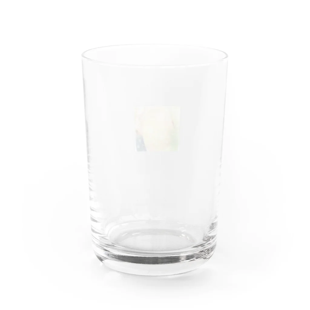 虹色の華の富士山と祈り Water Glass :back