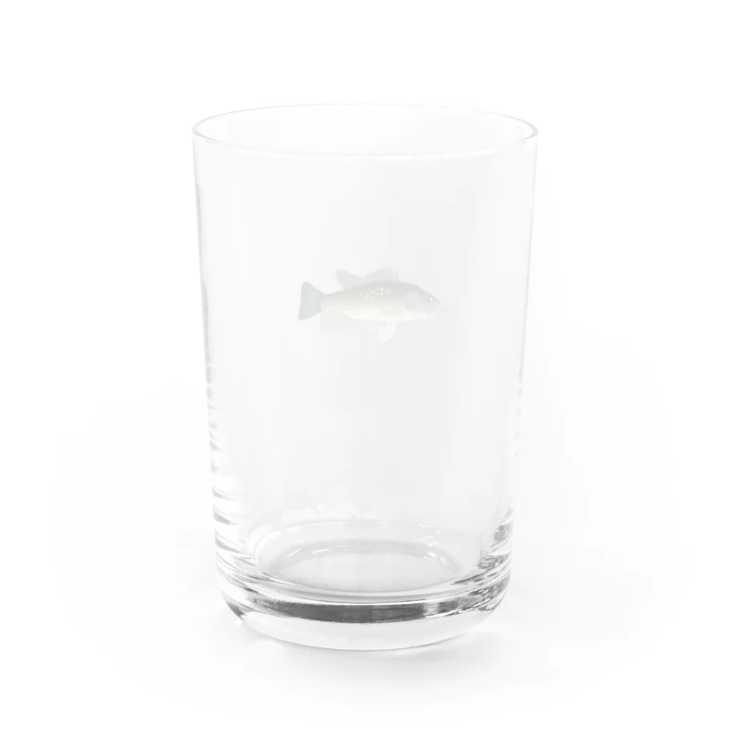 MOBのブラックバス Water Glass :back