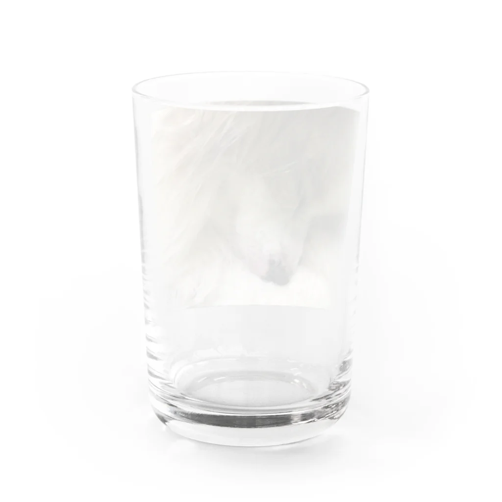 Rinaのてんてん Water Glass :back