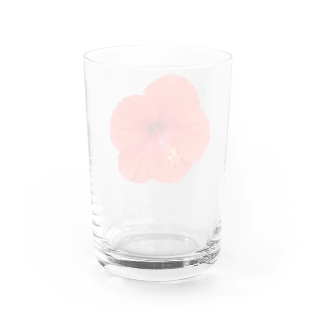 ☆ららくらら☆のハイビスカス・レッド① Water Glass :back