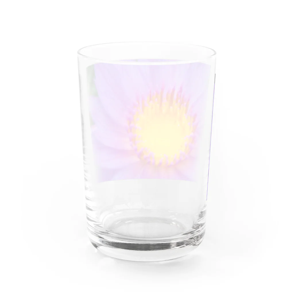 8l0のFlower drop 睡蓮 Water Glass :back