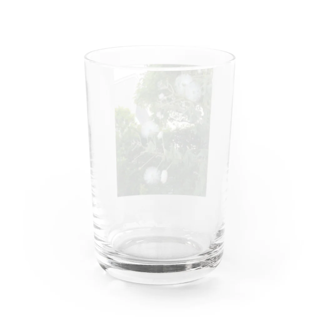 Yama10の白。花。花火。ほわほわ。 Water Glass :back