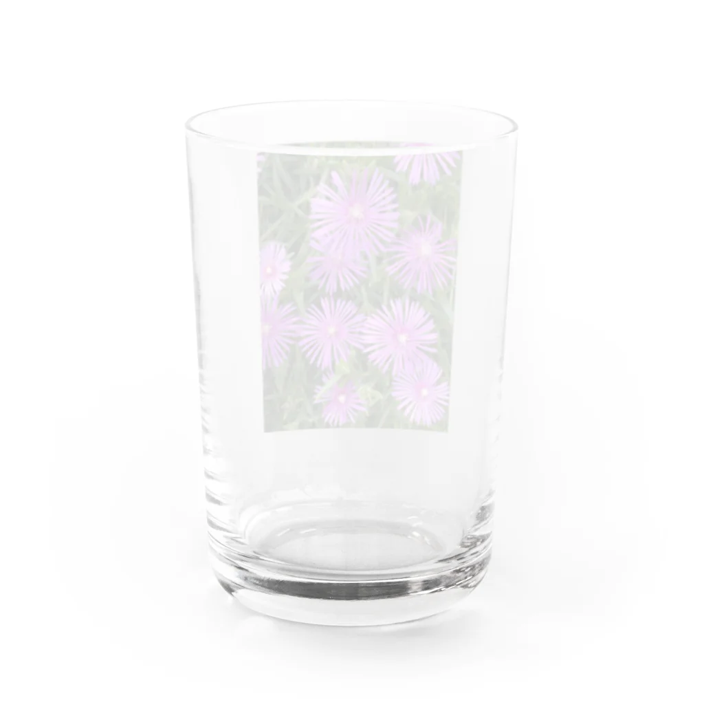 オレンジチョコのむらさきのおはな Water Glass :back