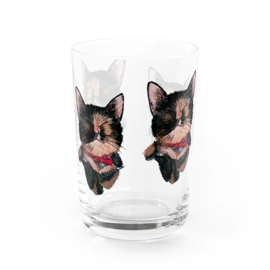 Kilkenny Catsのサビ猫 多め Water Glass :back