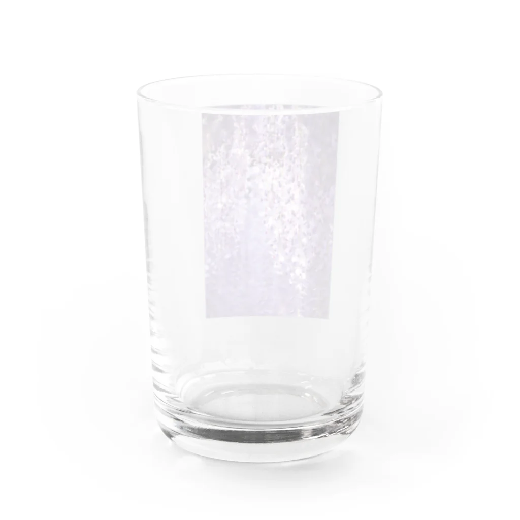 8l0の長藤　花　藤の花 Water Glass :back