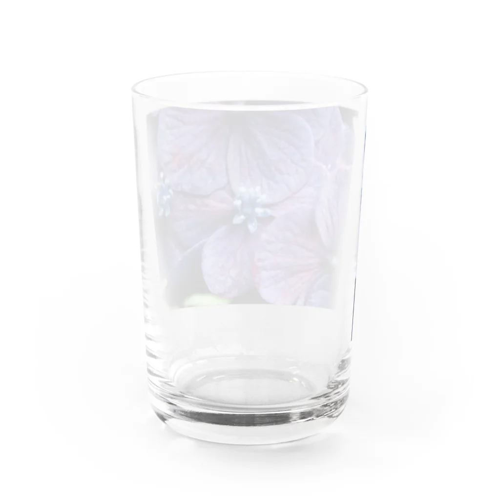 8l0の紫陽花　紫 Water Glass :back