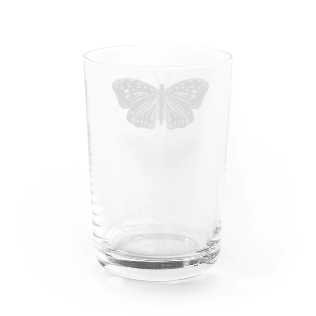 Kanshadoのアカボシゴマダラ Water Glass :back