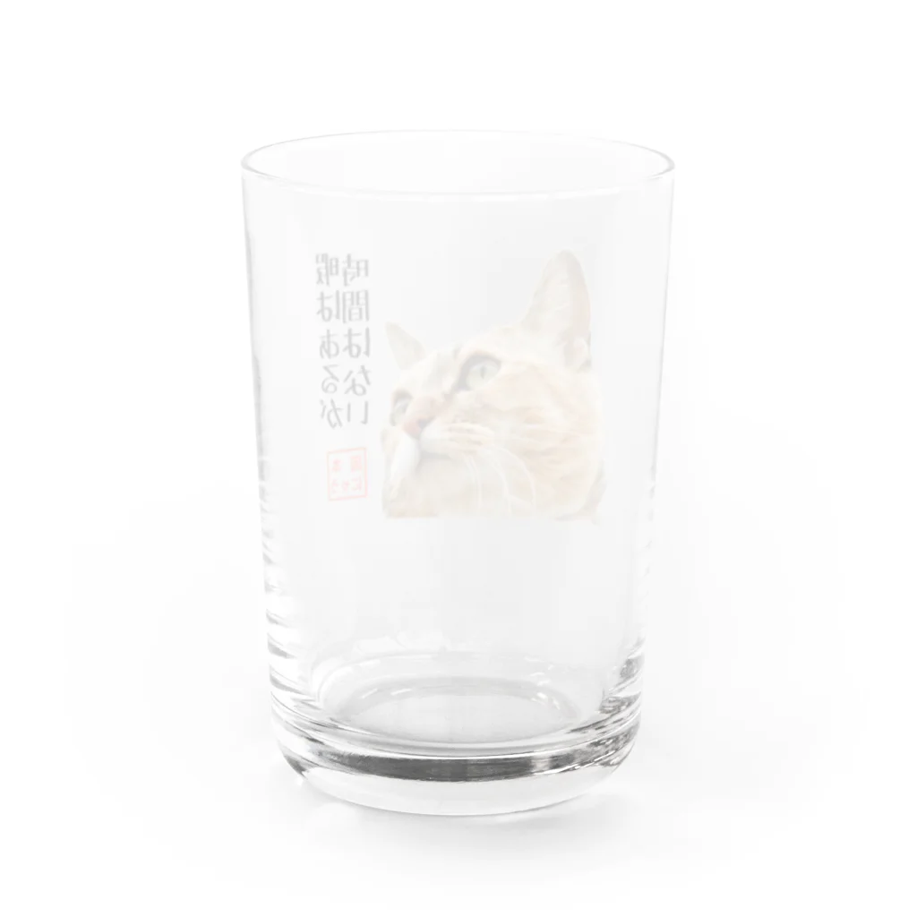 岡本なう - okamoto now -の岡本にゃうグッズ Water Glass :back