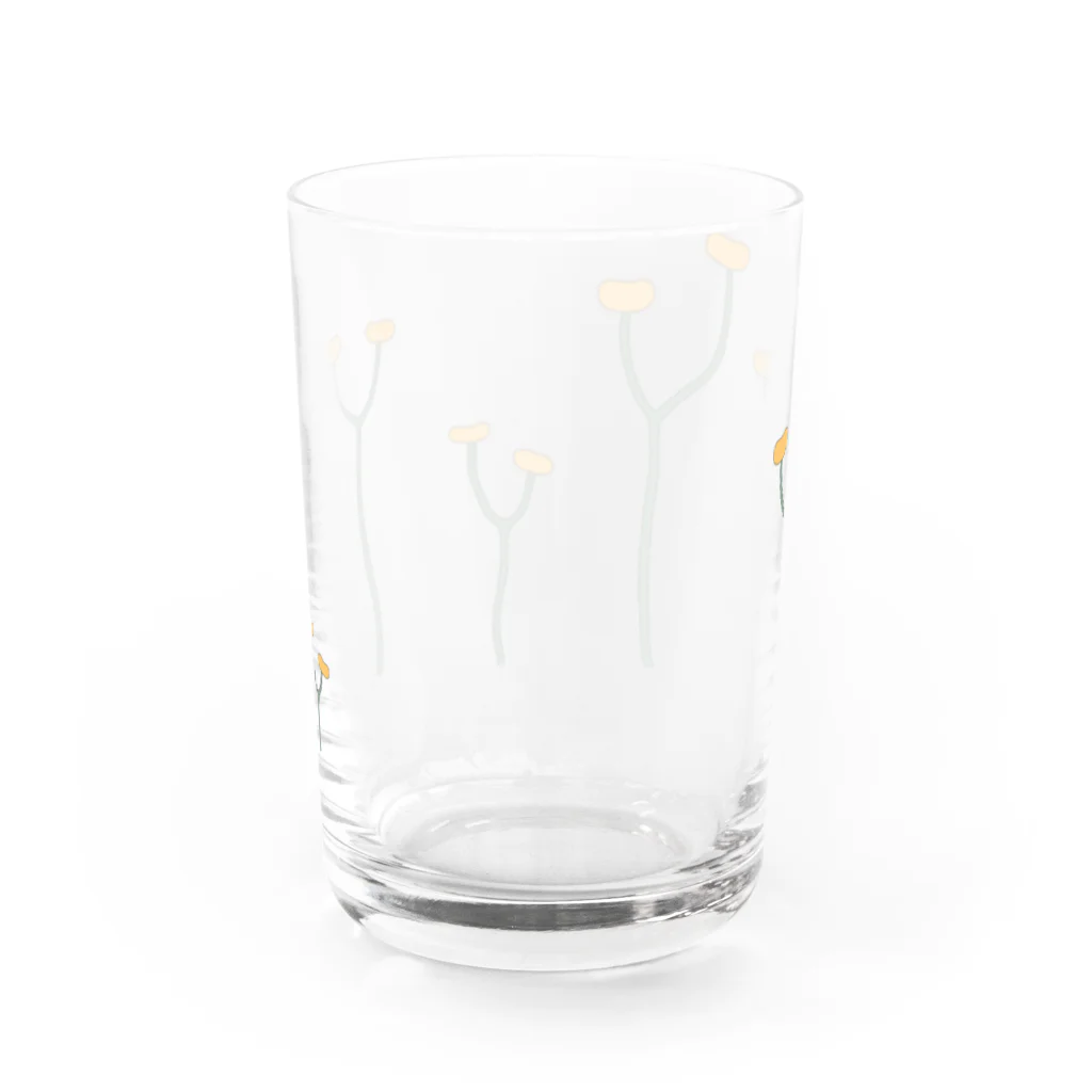 アトリエヱキパのクックソニア（Cooksonia） Water Glass :back
