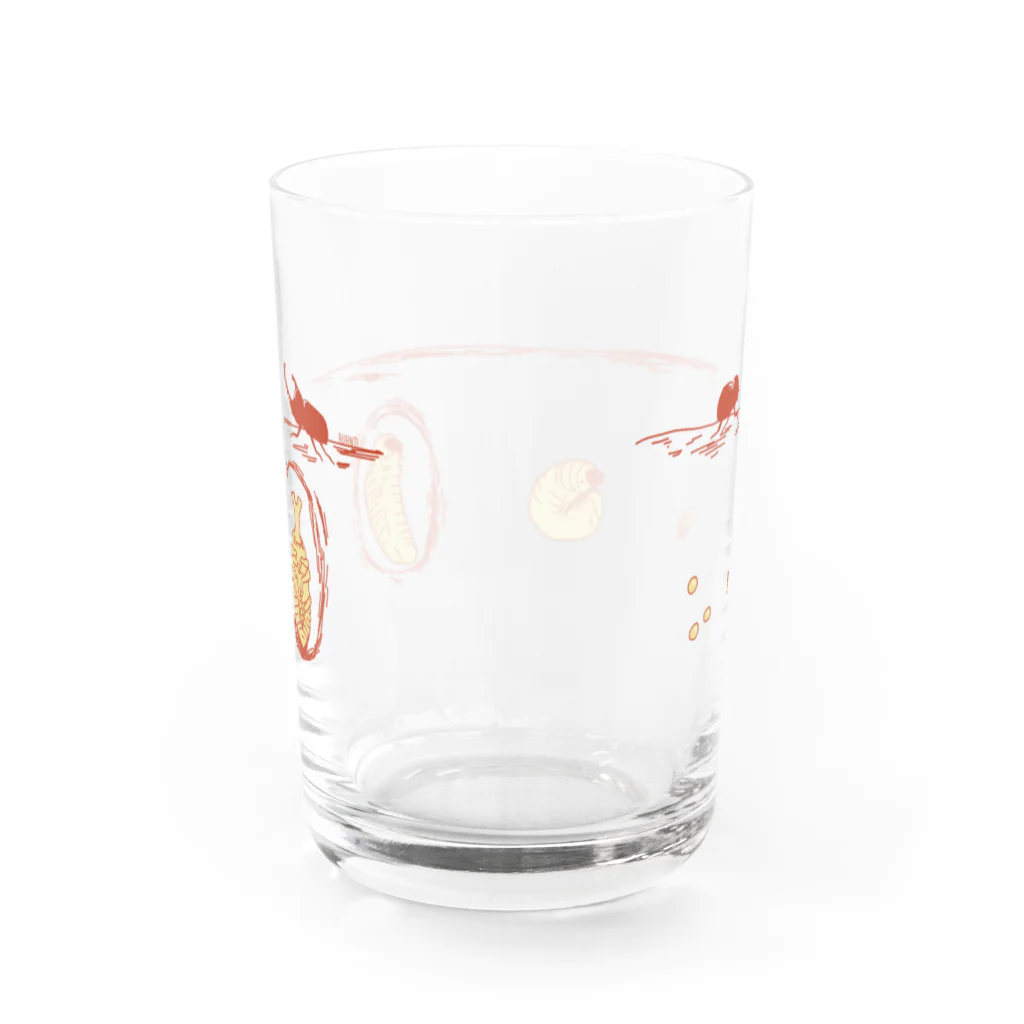 AVANTIの成長するカブトムシ Water Glass :back