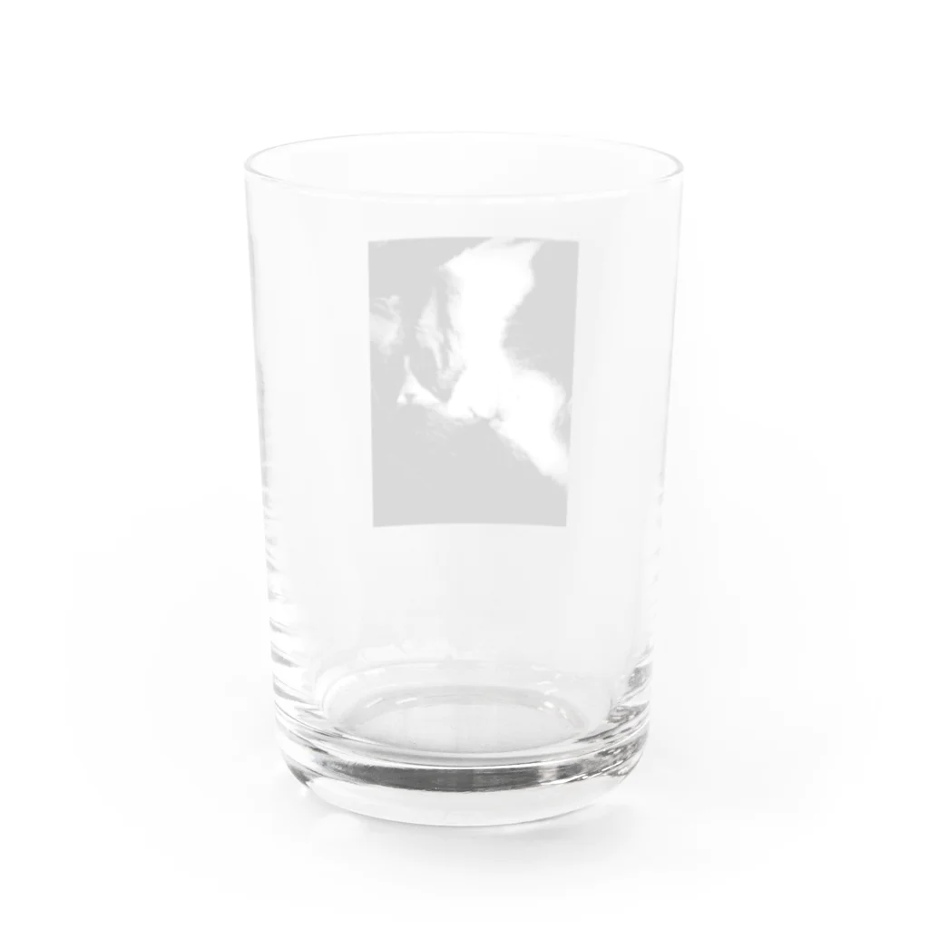 chama_coのsleeping cat glass グラス反対面