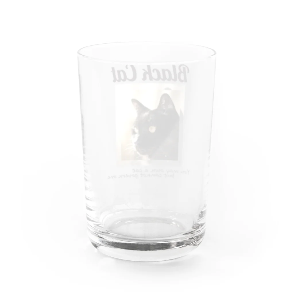 ひよっこデザインの凛々しい黒猫 Water Glass :back