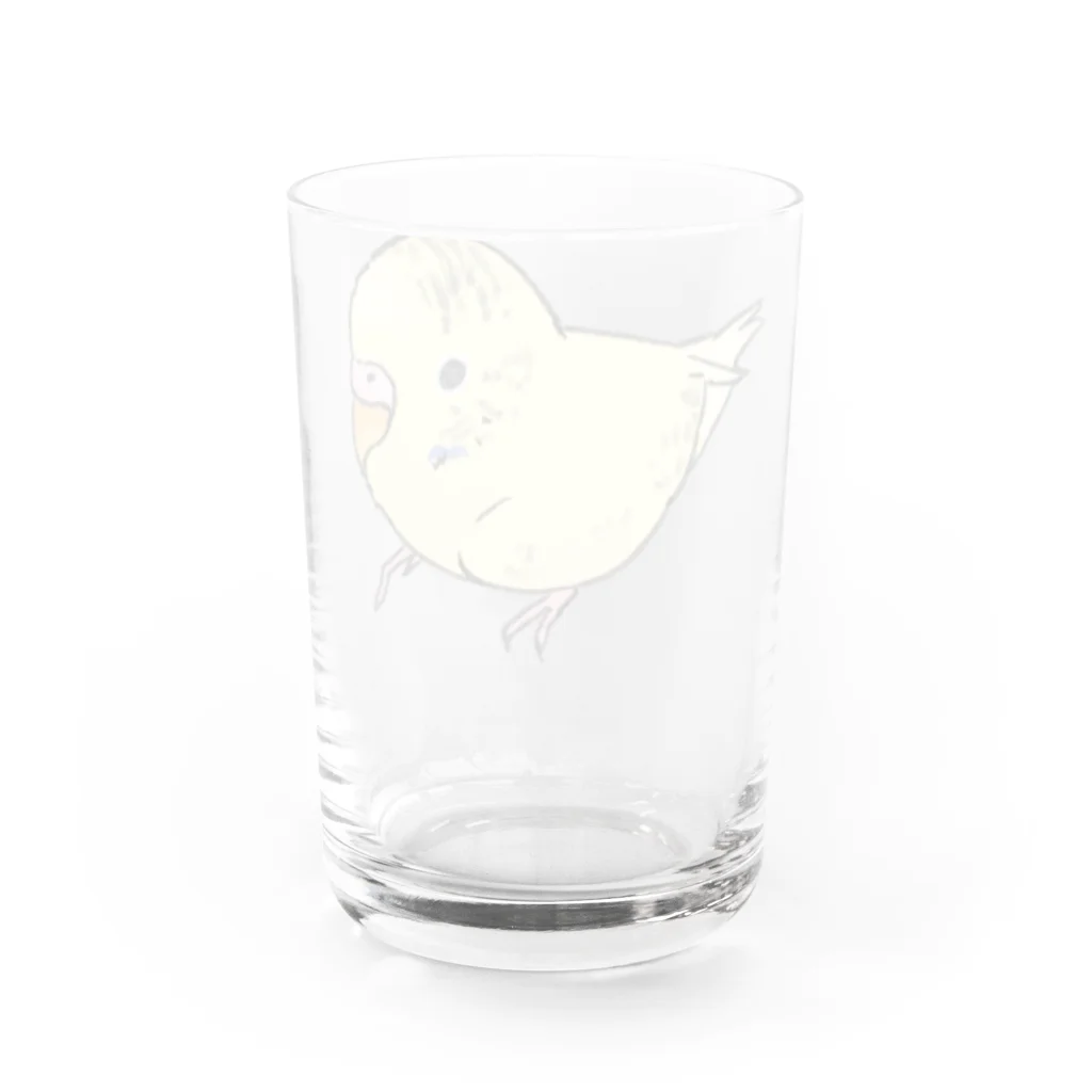 まめるりはことりの可愛いセキセイインコ　おすましちゃん【まめるりはことり】 Water Glass :back