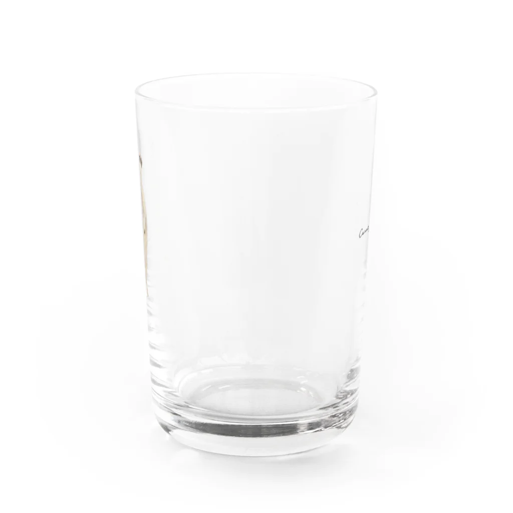 Canako Inoueのミーアキャット Water Glass :back