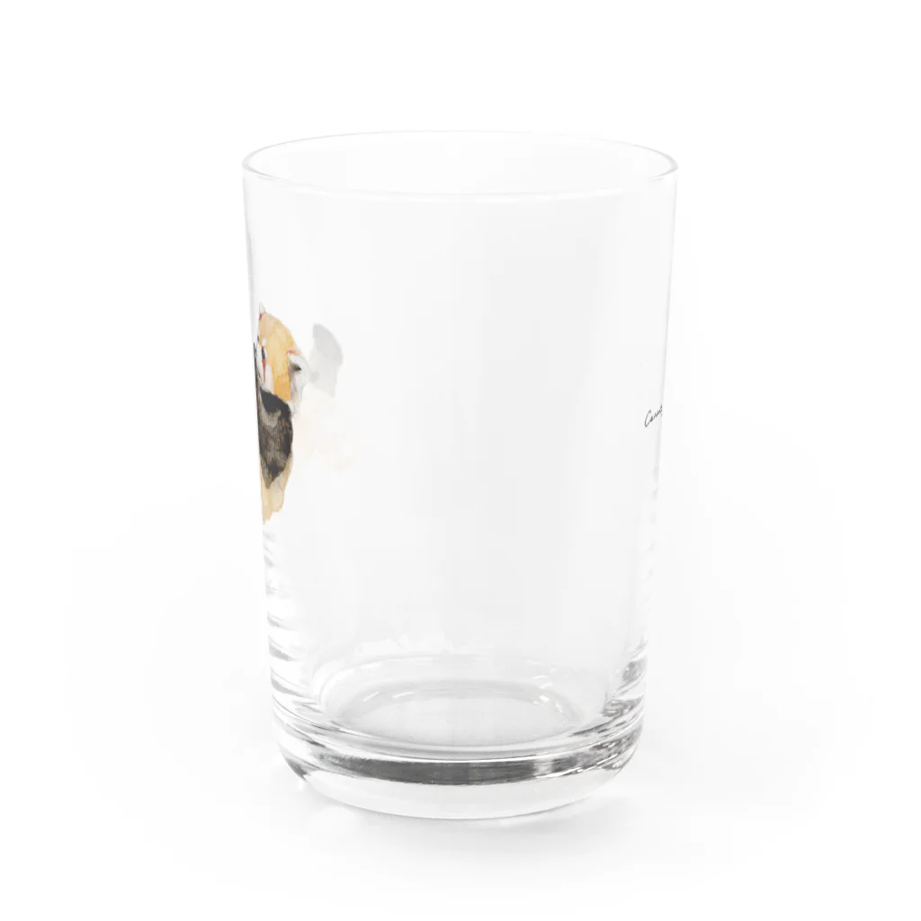 Canako Inoueのレッサーパンダ Water Glass :back