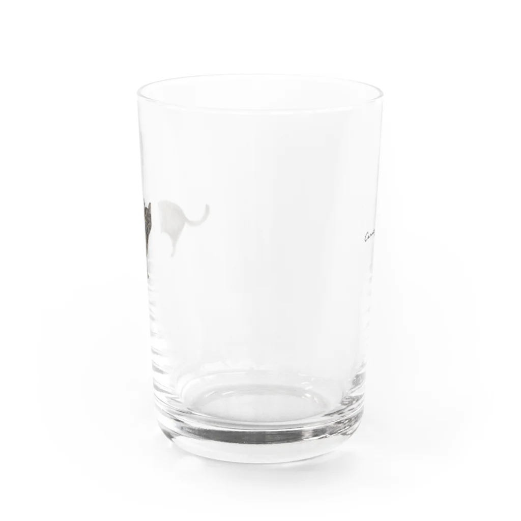 Canako Inoueの黒猫 Water Glass :back