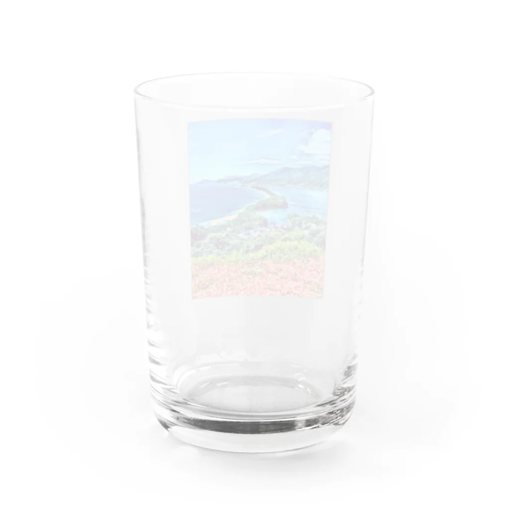 D-Shopの天橋立 Water Glass :back