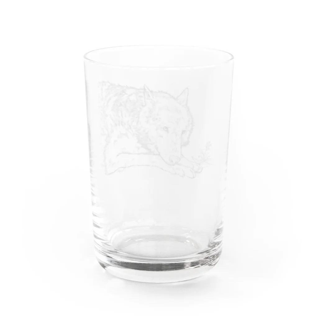 1024のオオカミ Water Glass :back