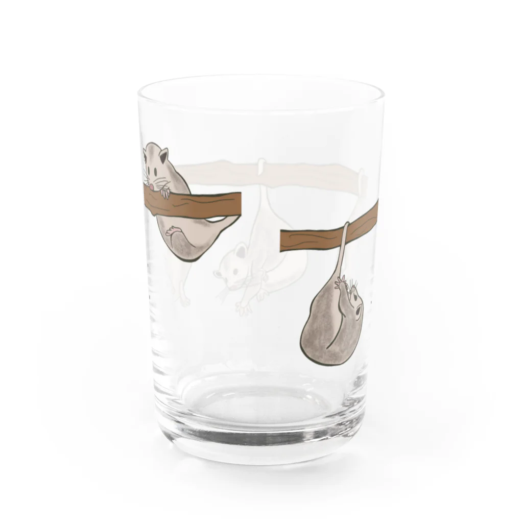 prunelleのオポッサムくんたち Water Glass :back