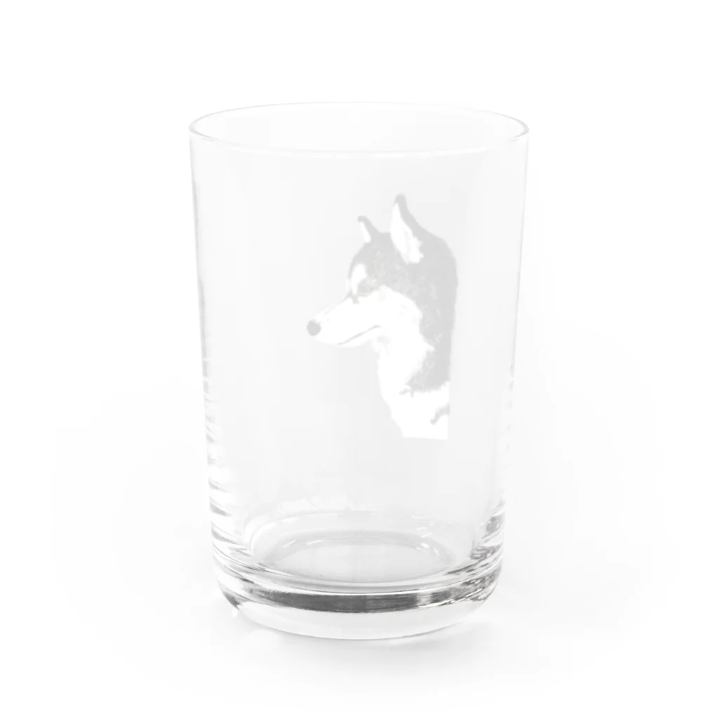 朔のボウルのかっこいいハスキー横顔 Water Glass :back