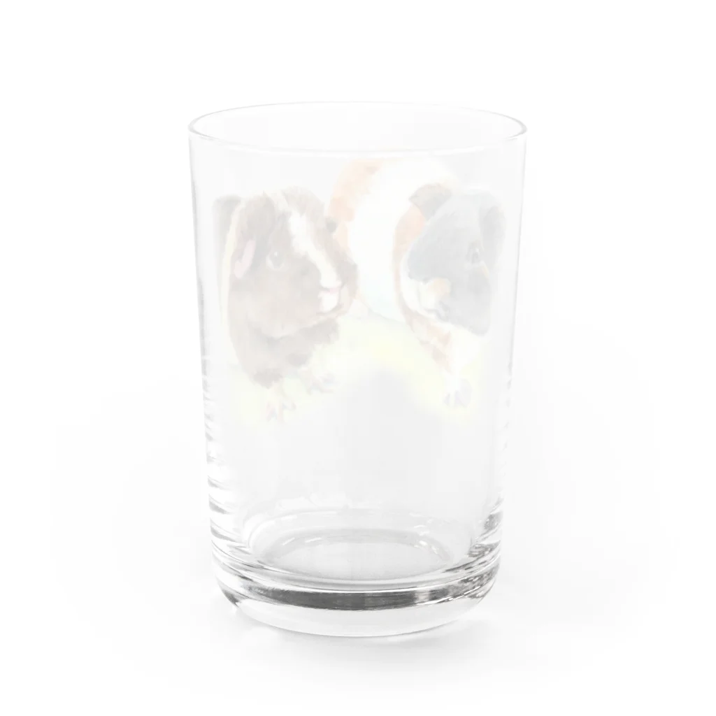 みたらし&きなこもち@しばこの野草姉妹 Water Glass :back