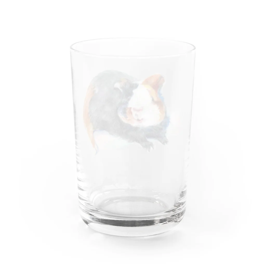 みたらし&きなこもち@しばこのもるもるくん Water Glass :back