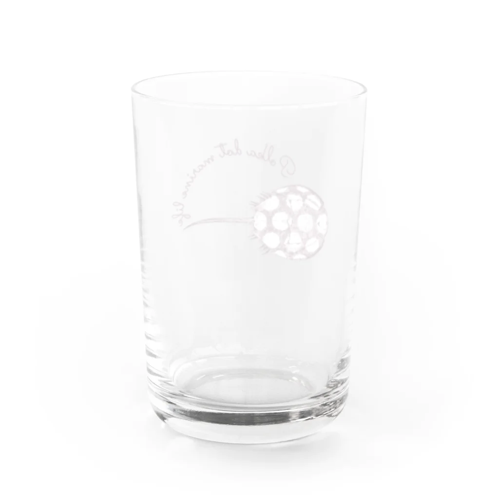 nemunoki paper itemの水玉海洋生物　カブトガニ Water Glass :back