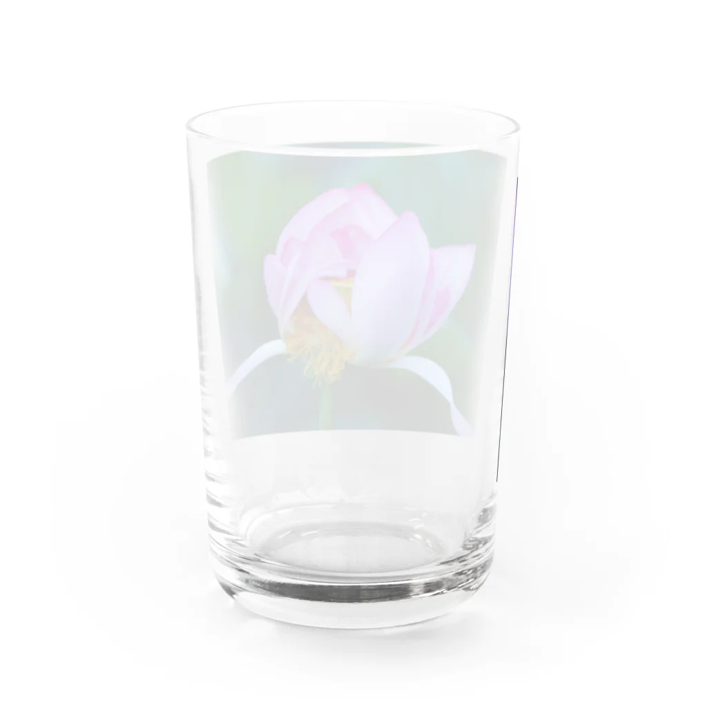 DORAMARUの破滅の美。 Water Glass :back