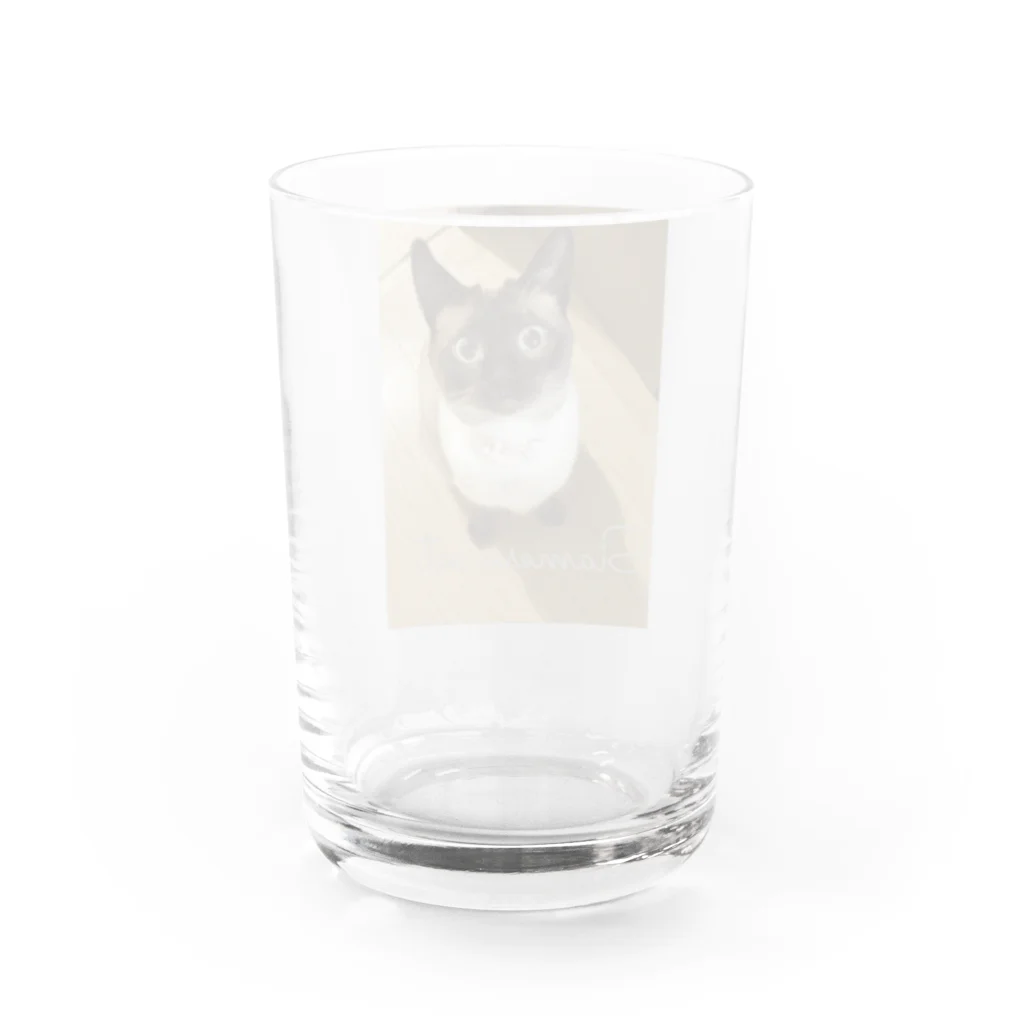 Siamese cat シャムのSiamese cat シャム猫 Water Glass :back