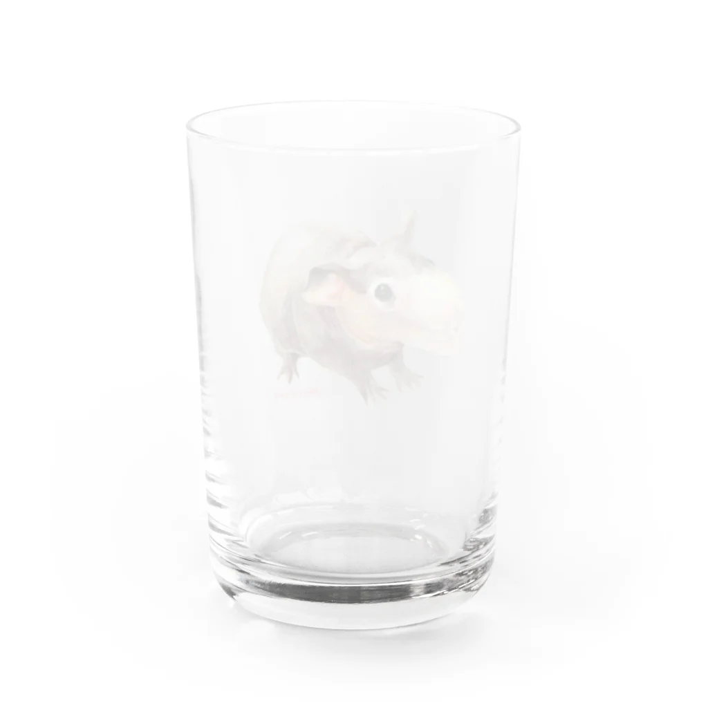 aNone sOnoneのスキニーギニアピッグ Water Glass :back