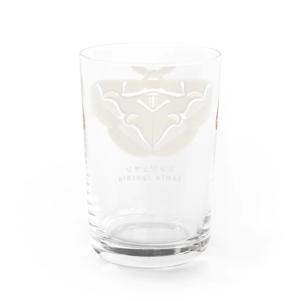 さちこの生物雑貨のシンジュサン Water Glass :back