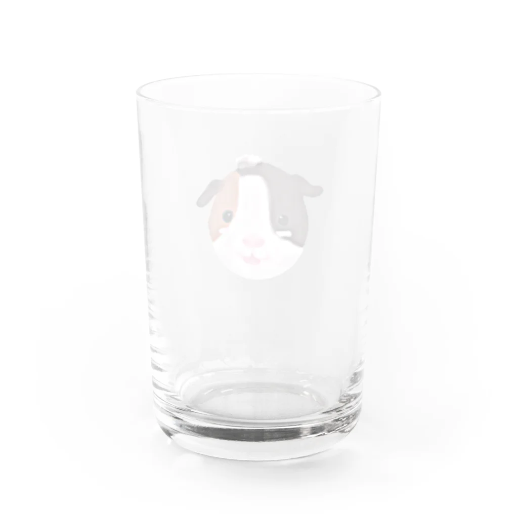 ナマケモノのじじ Water Glass :back