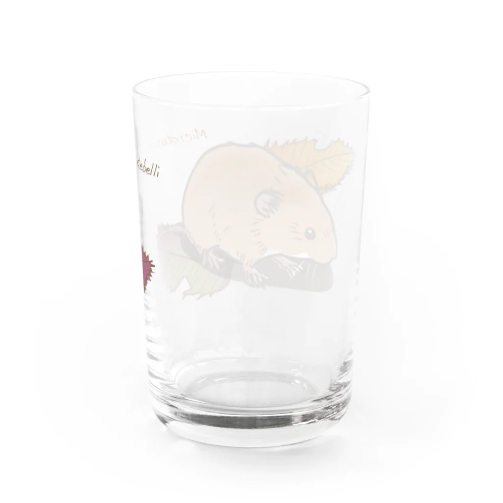 Mika ＠hammytouchの50_ハタネズミ_goods_01  Water Glass :back