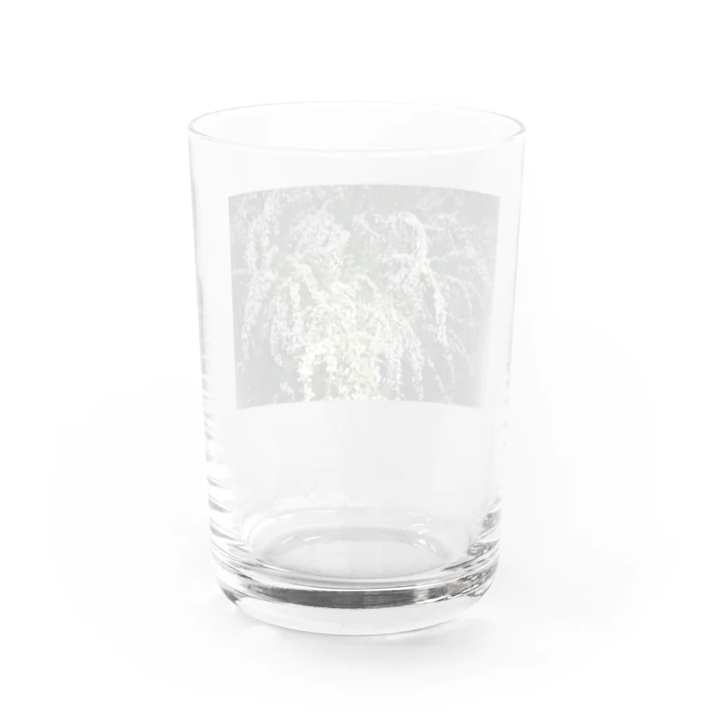 Gradually-storeのYUKIYANAGI Water Glass :back