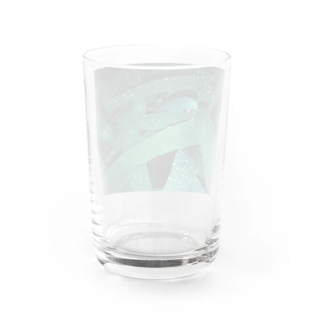 テユタオイシューのグッズの千文字「Don't care, but care」の葉っぱ Water Glass :back