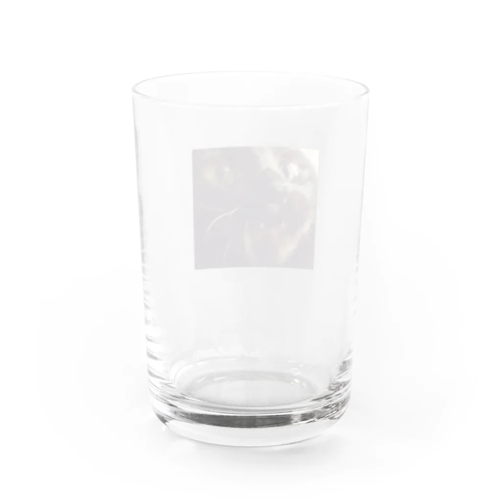 not(おきょん)のなんや猫 Water Glass :back